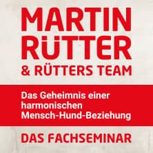 Martin Rütter und Team - Das Fachseminar (Wochenendticket)