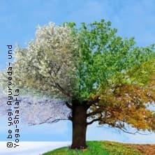 Ayurveda im Rhythmus der Jahreszeiten