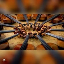 Bratschenwirtschaft - Event Bild