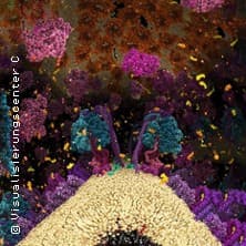 Die Chemie des Lebens – Das Unsichtbare in uns 3D