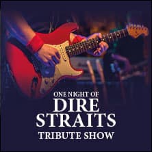 One Night of Dire Straits - Tribute Show - Event Bild